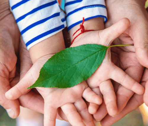 synaisthimatika-klirodotimata synaisthimatika-klirodotimata